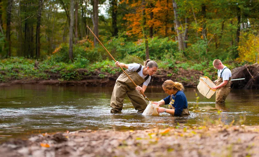 Loyalsock Creek at the Biology Field Station