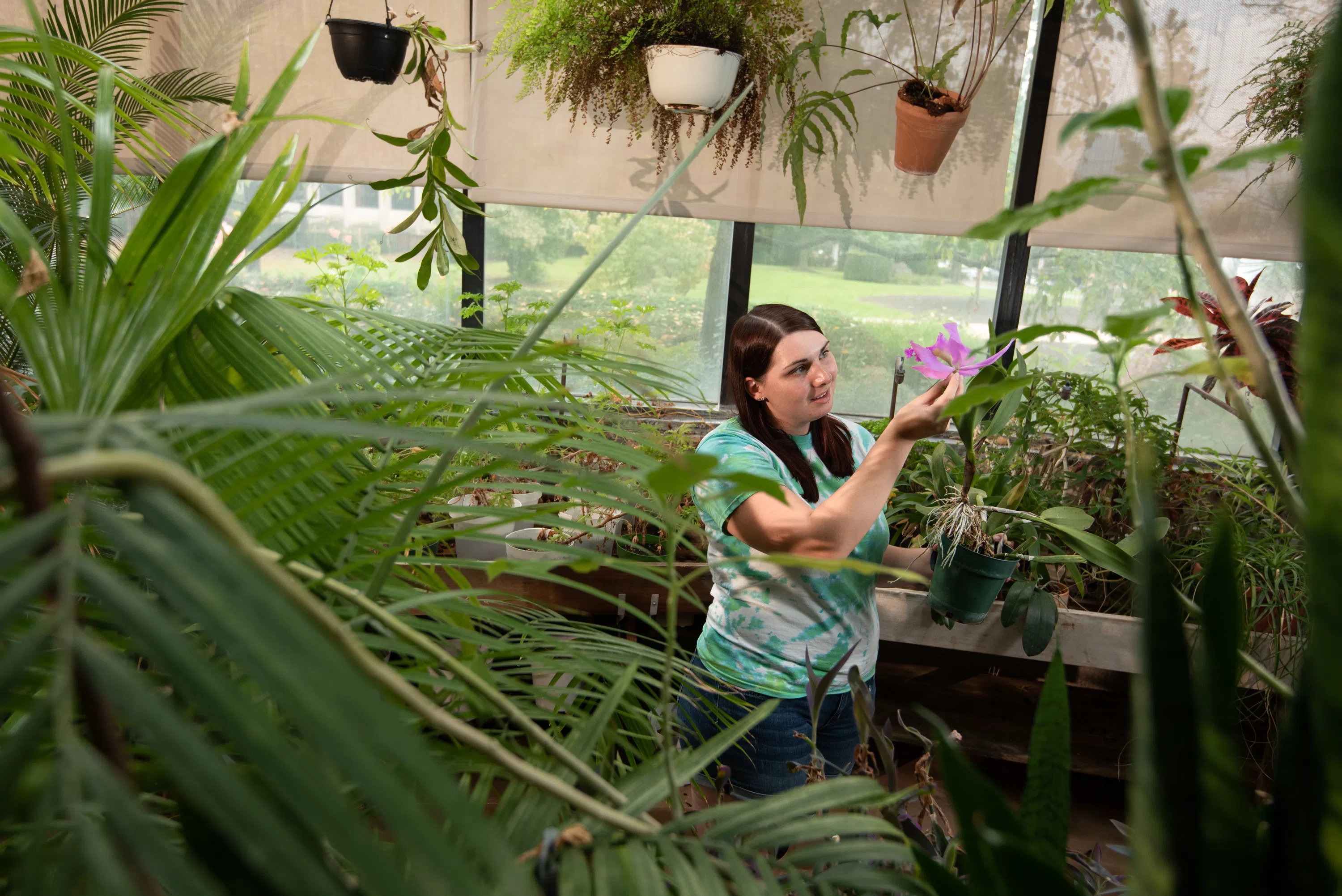 Greenhouse in Heim