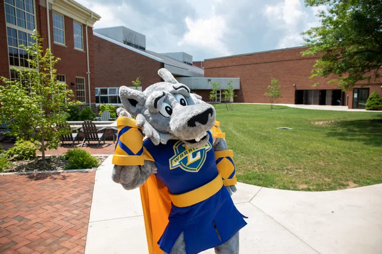 Lycos the Wolf is the mascot for the Lycoming College Warriors.