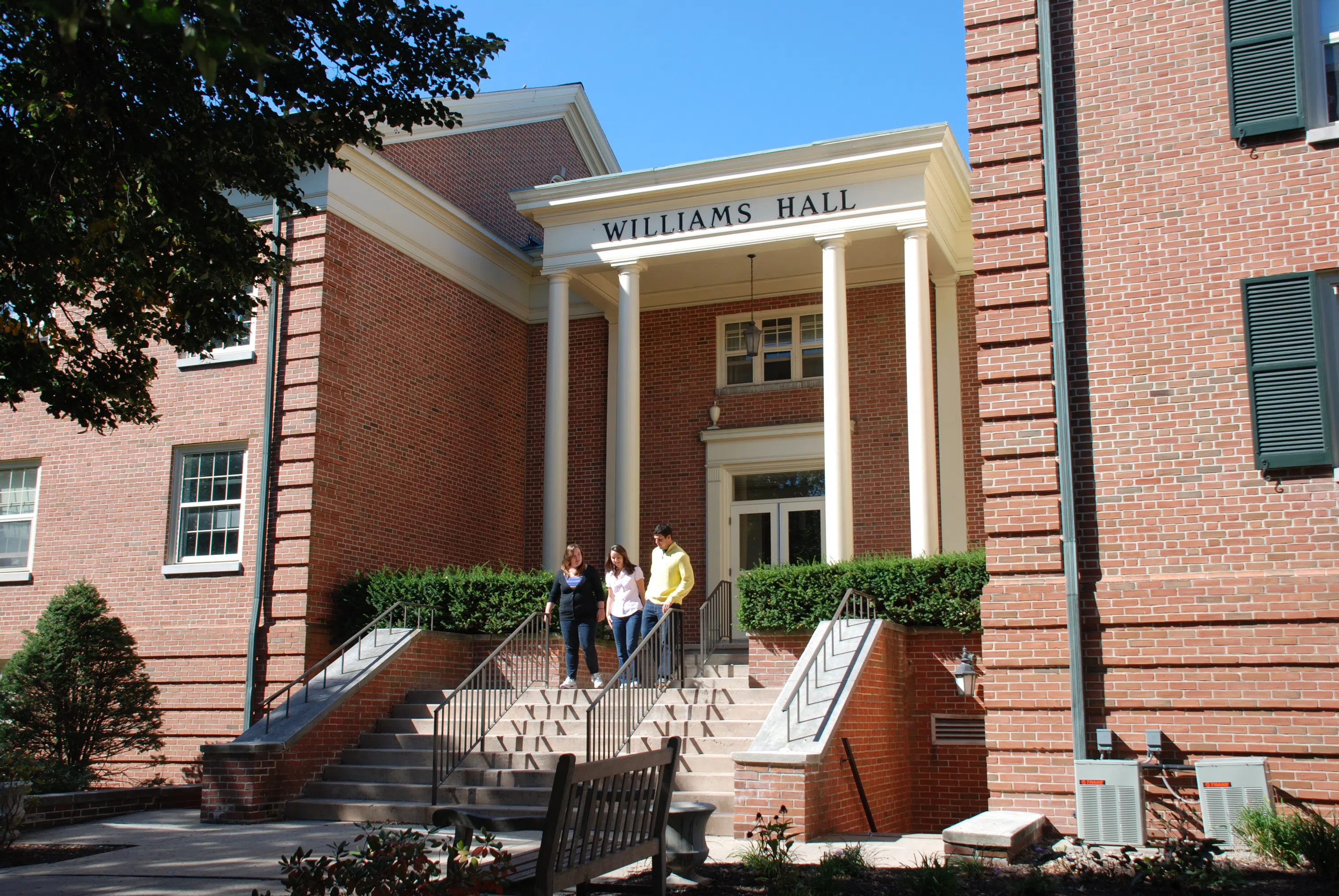 Students walk down the steps of Williams Hall. 