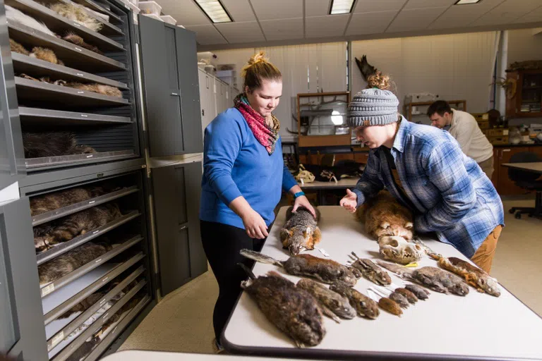 Zoological Museum in Weston Hall