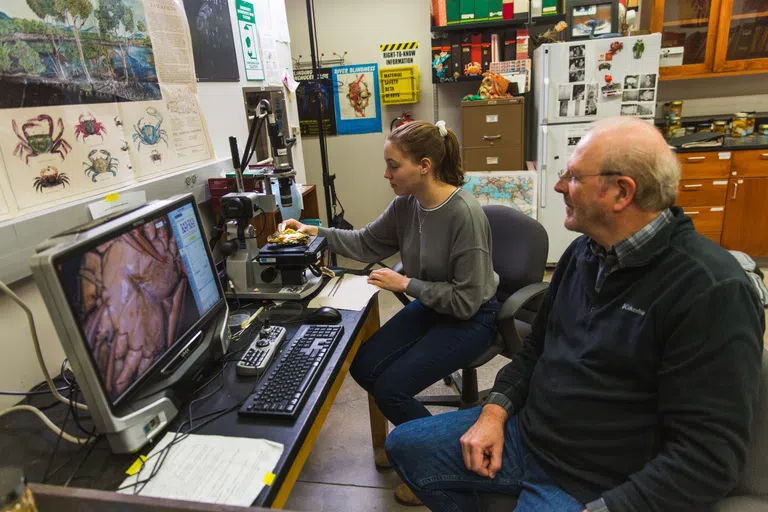 Crab Lab in Weston Hall