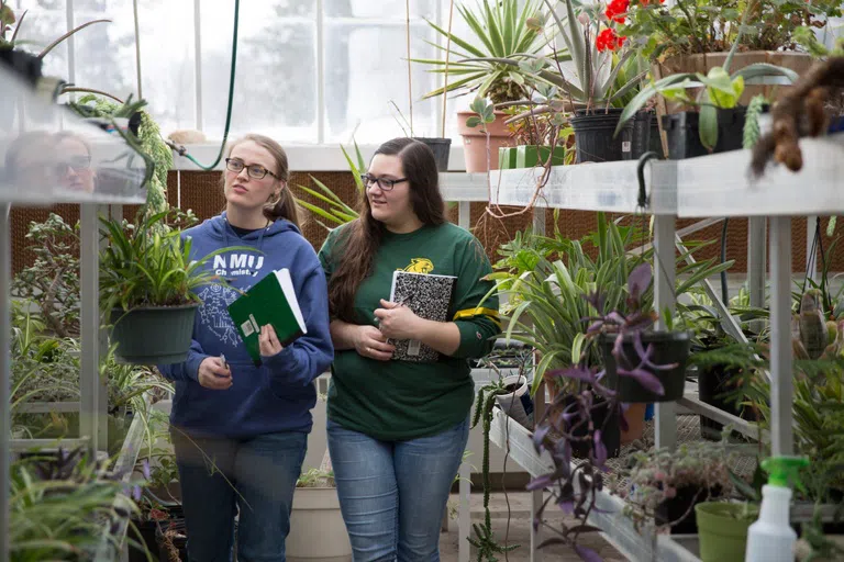 Green House