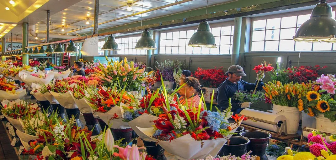 View of the many flowers for sale 