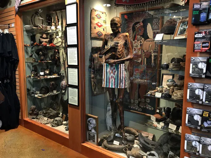 A mummy and other rare artifacts inside the shop