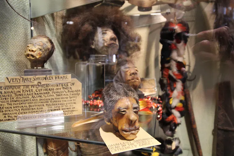 Shrunken heads at the shop