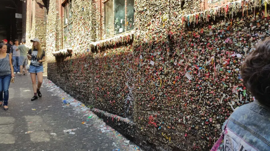 View of the gum covering the windows on the wall