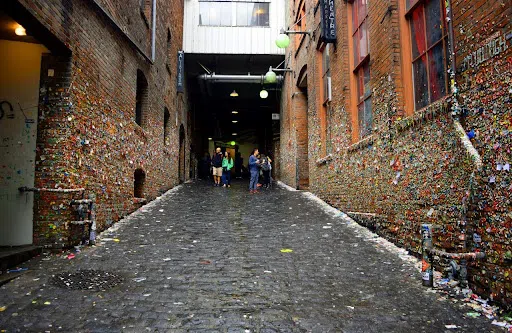 View of the 50 foot alleyway covered in gum