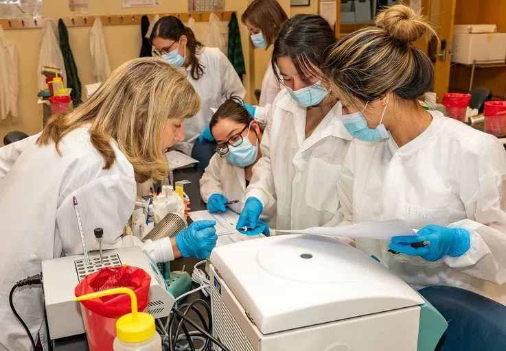 Students work in the medical technology lab