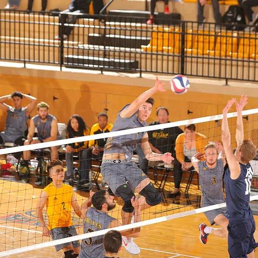 All Braves men's volleyball home games are hosted within Wilson Field House.