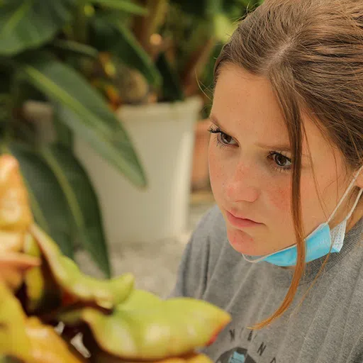 A student examining plants as part of class in the Creed Family Greenshouse.