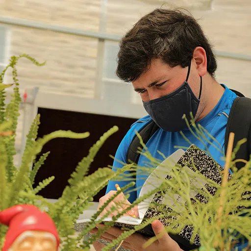 OU student examining contents in the Creed Family Greenhouse. 2021