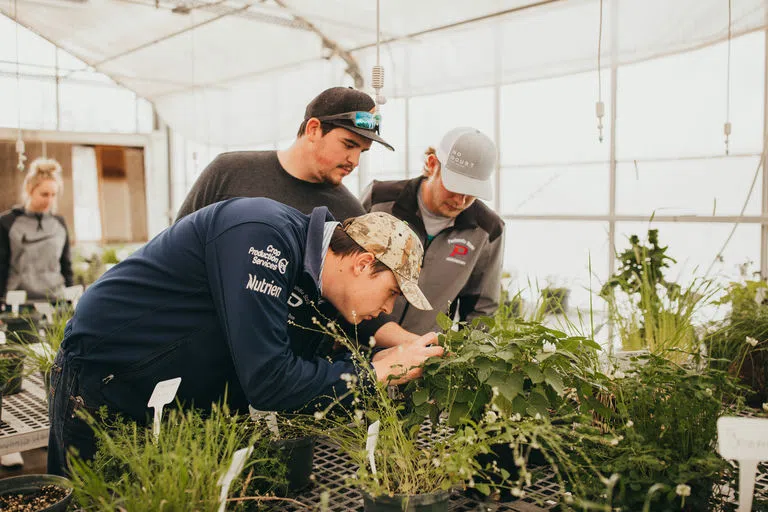 students examining plants in Green House