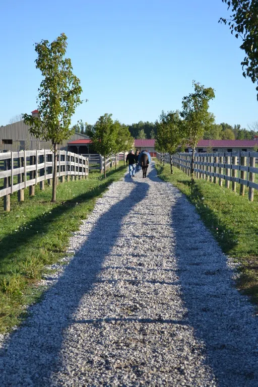 Pasture Path