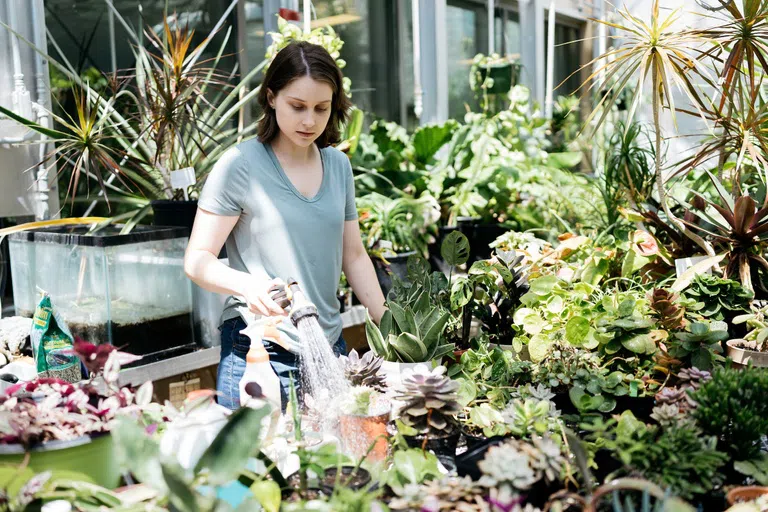 A woman waters plants in a greenhouse