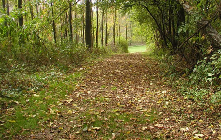 Cross Country Course