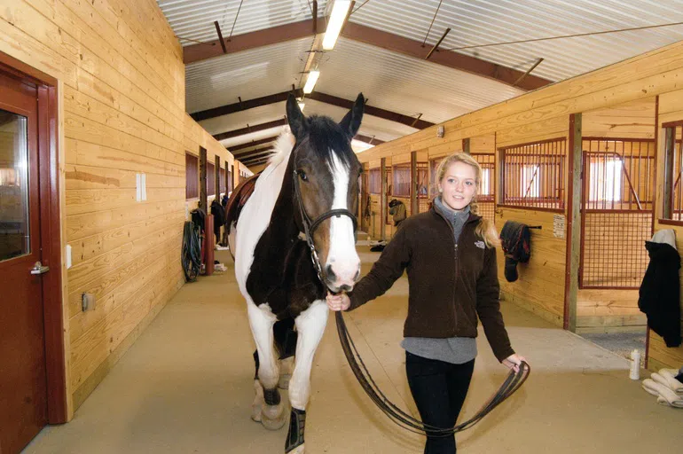 Stables and Pasture 2