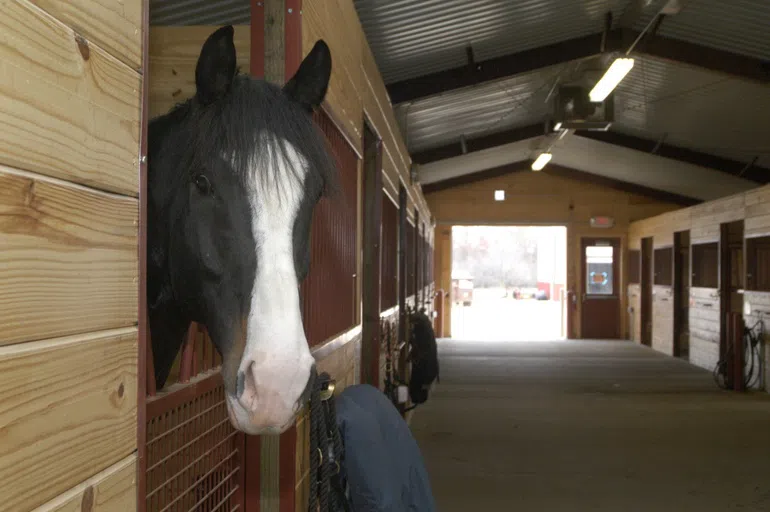 Stables and Pasture 4