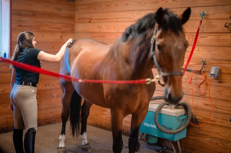 Stables and Pasture 8