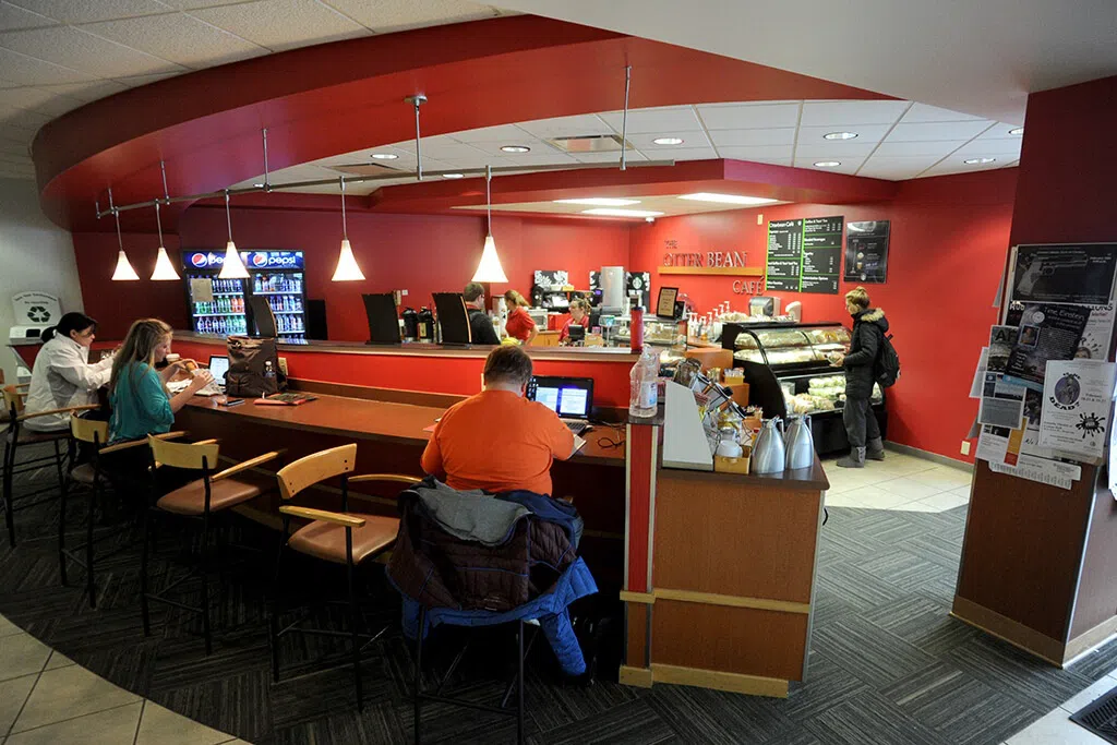 Students working in a cafe setting