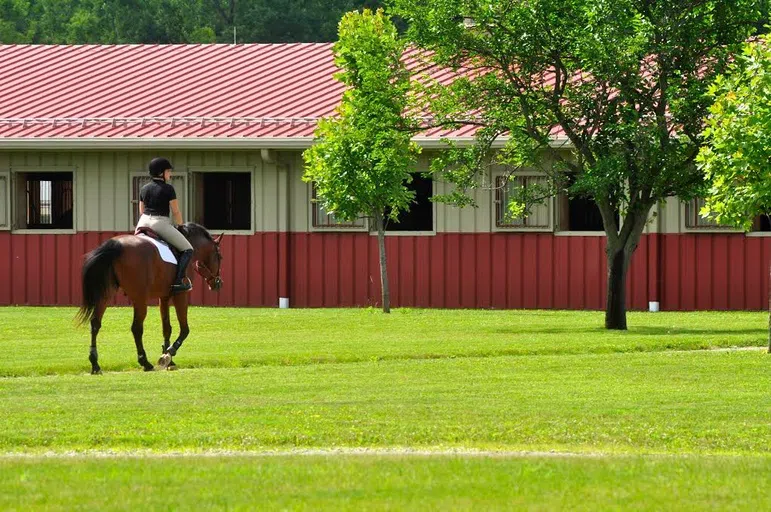 Outdoor Arena and Cross-Country Course 5