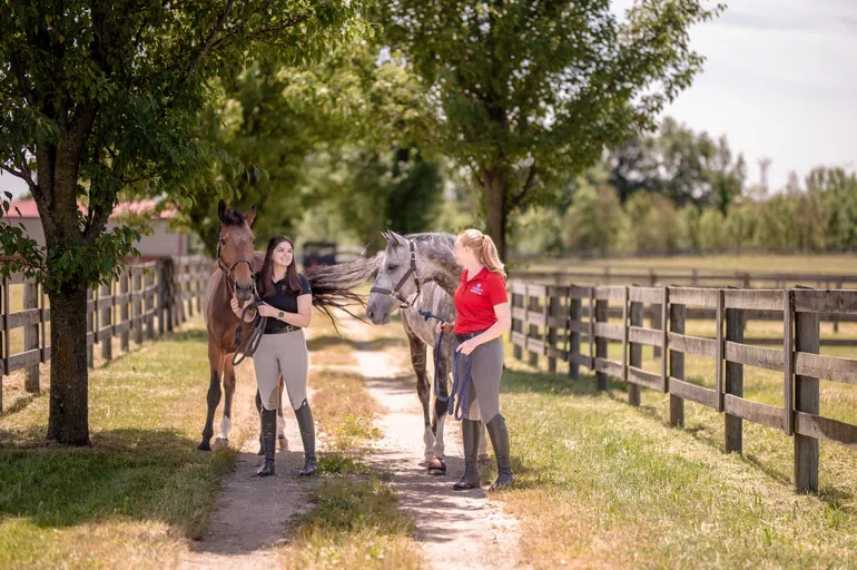 Stables and Pasture 7