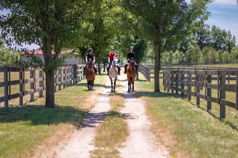 Stables and Pasture