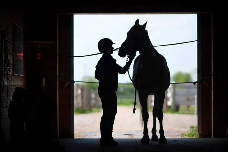 Stables and Pasture 3