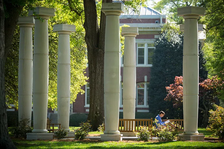 Studying at the Alumni Green