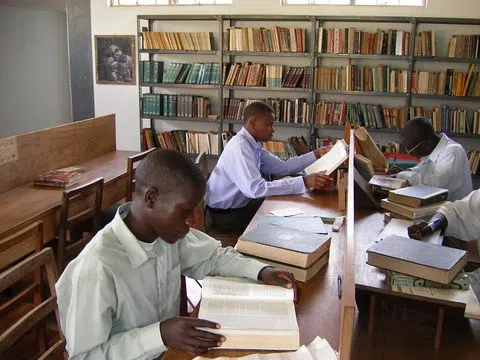 Students study in the library.