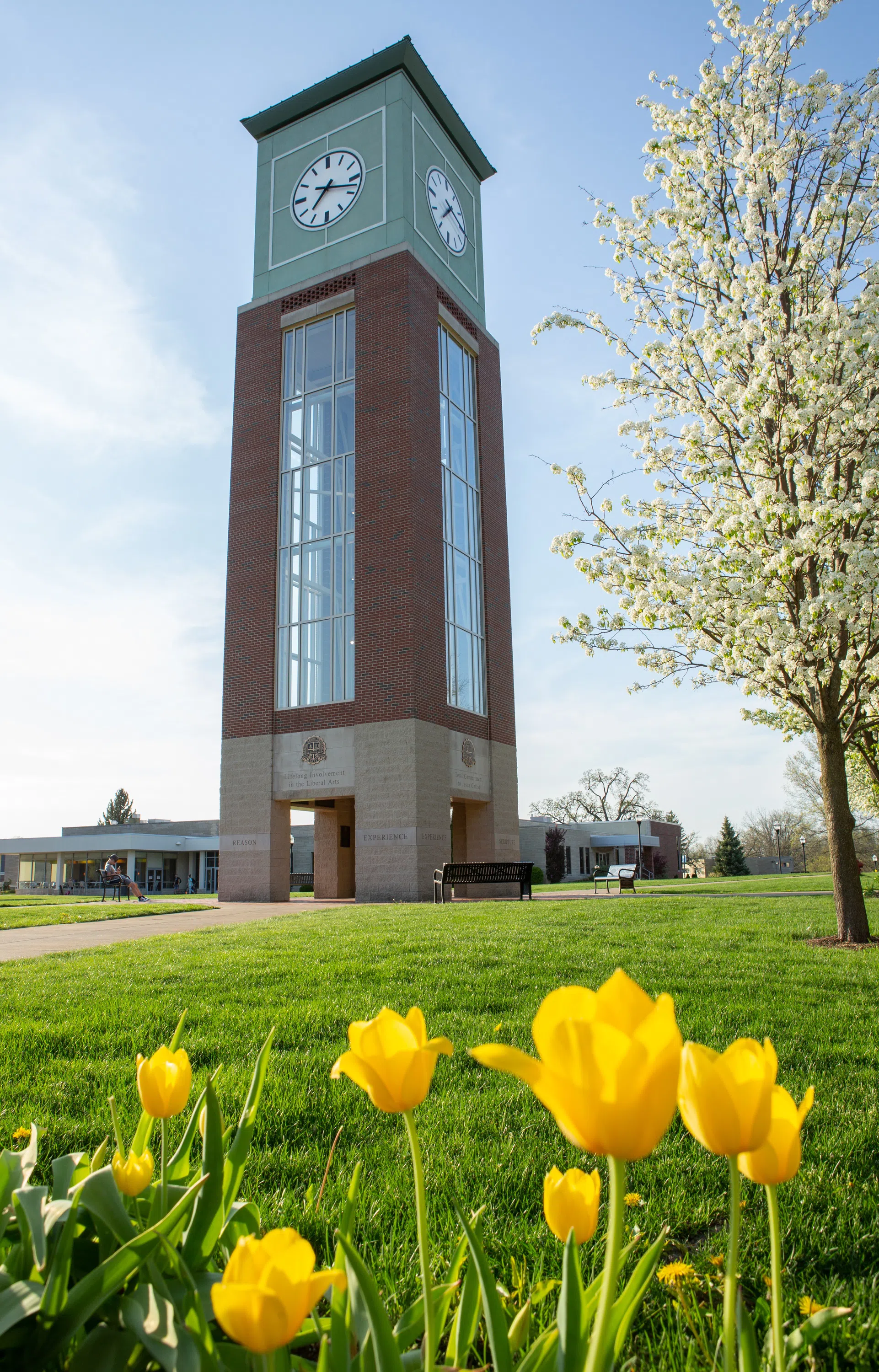 Clocktower Plaza, closeup of flowers