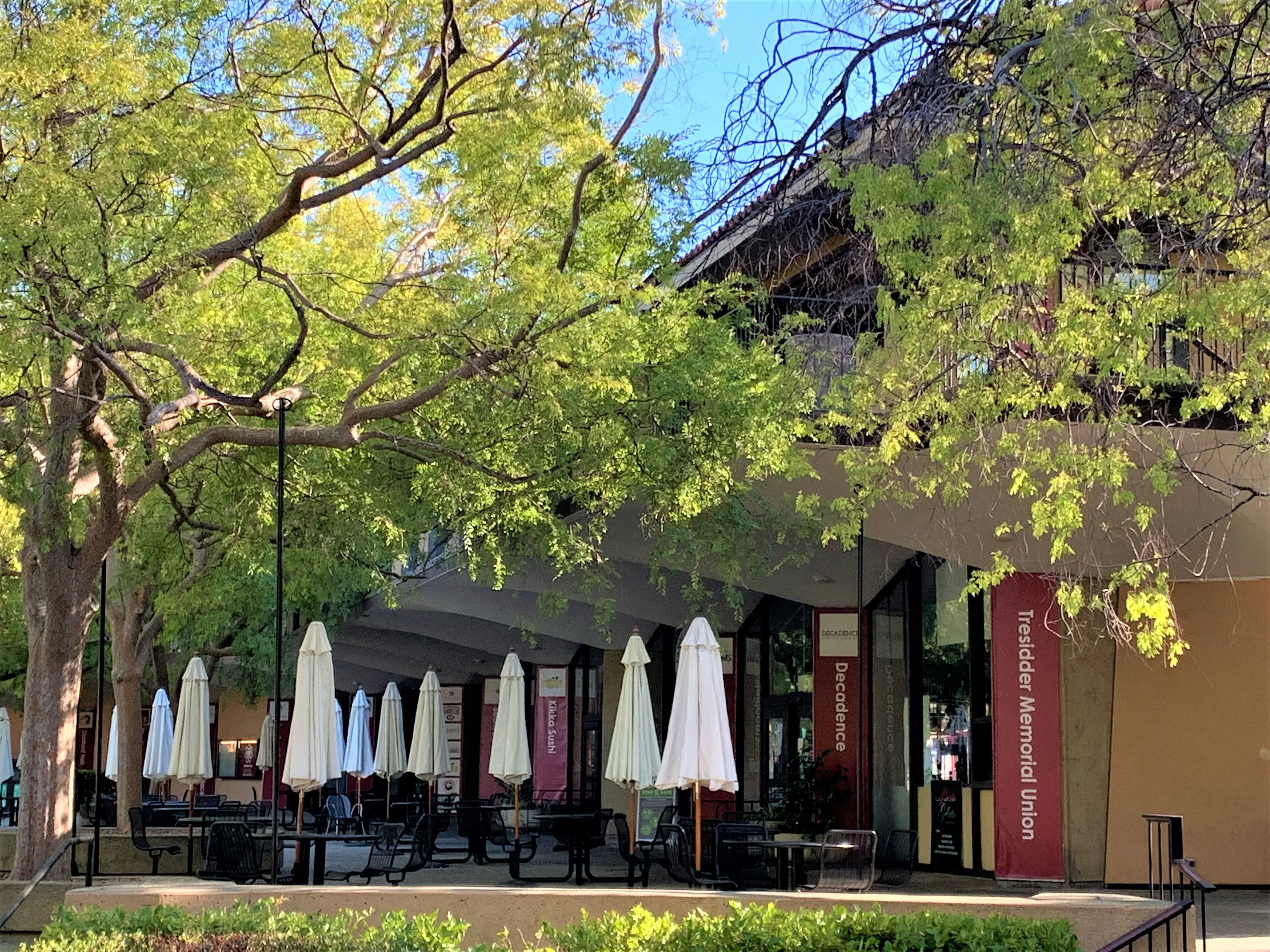 Two-story building and outdoor patio with trees surrounding and a seating area with tables and umbrellas.