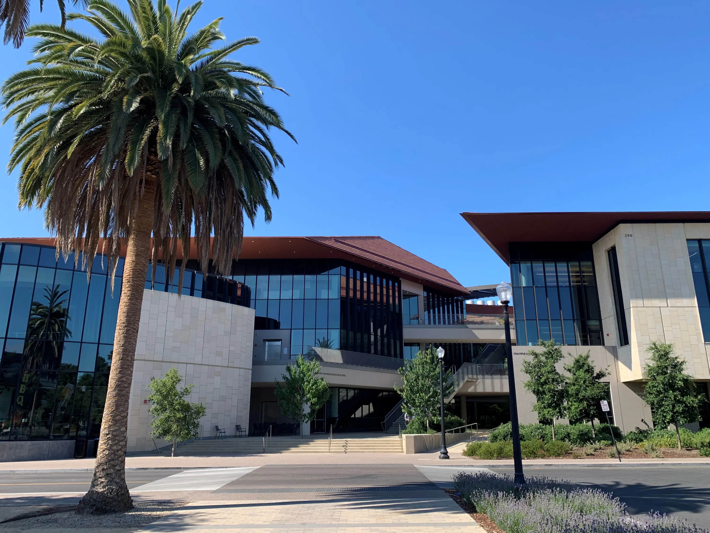 Palm tree stands in front of a modern limestone complex with stairs and ramps leading to two different buildings.