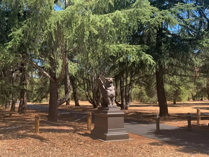 Statue of a winged lion marks a paved path leading into a densely treed area known as the Stanford Arboretum