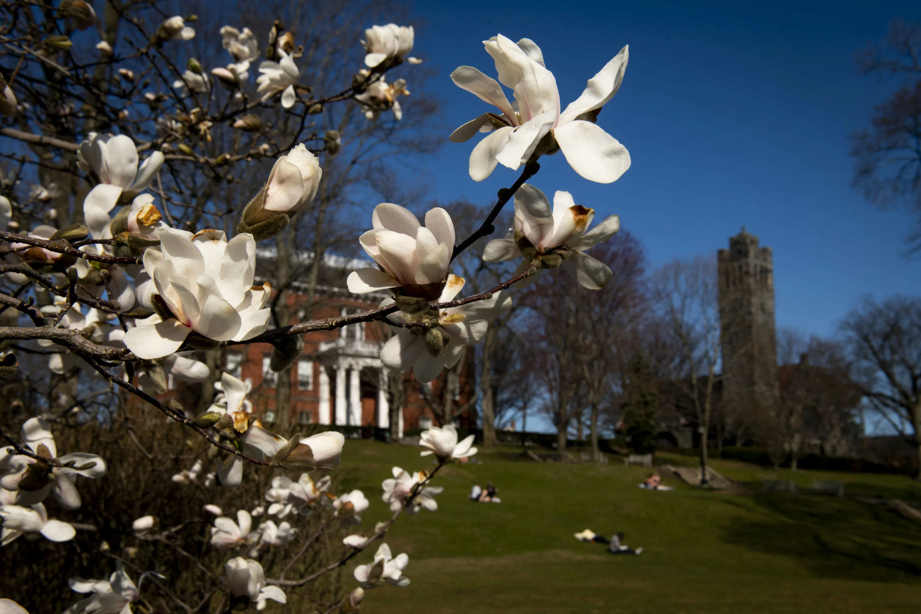 Goddard Chapel & Ballou Hall, viewed from Prez Lawn