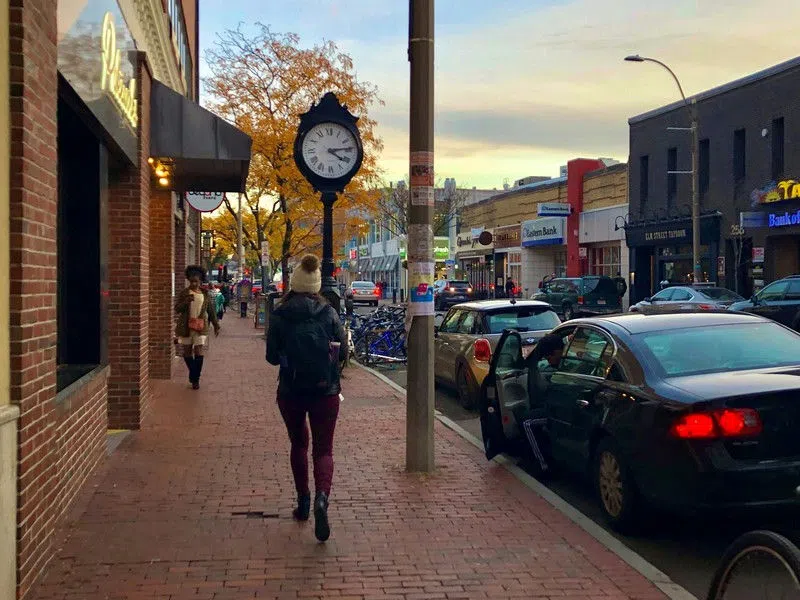 Elm Street, Davis Square, in the fall