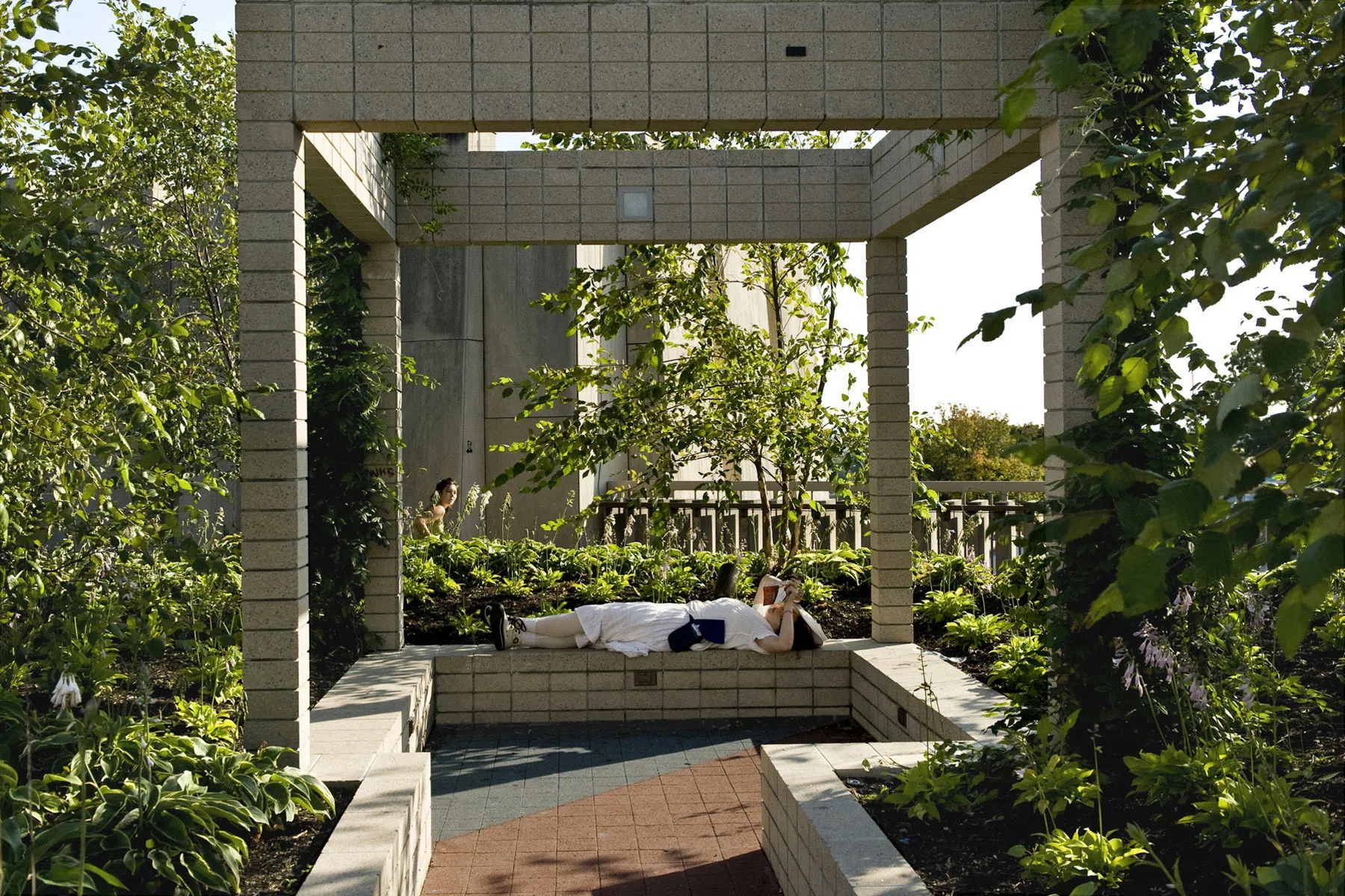 Reading in the rooftop garden 