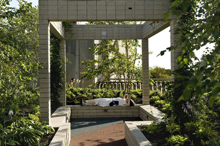 Reading in the rooftop garden 