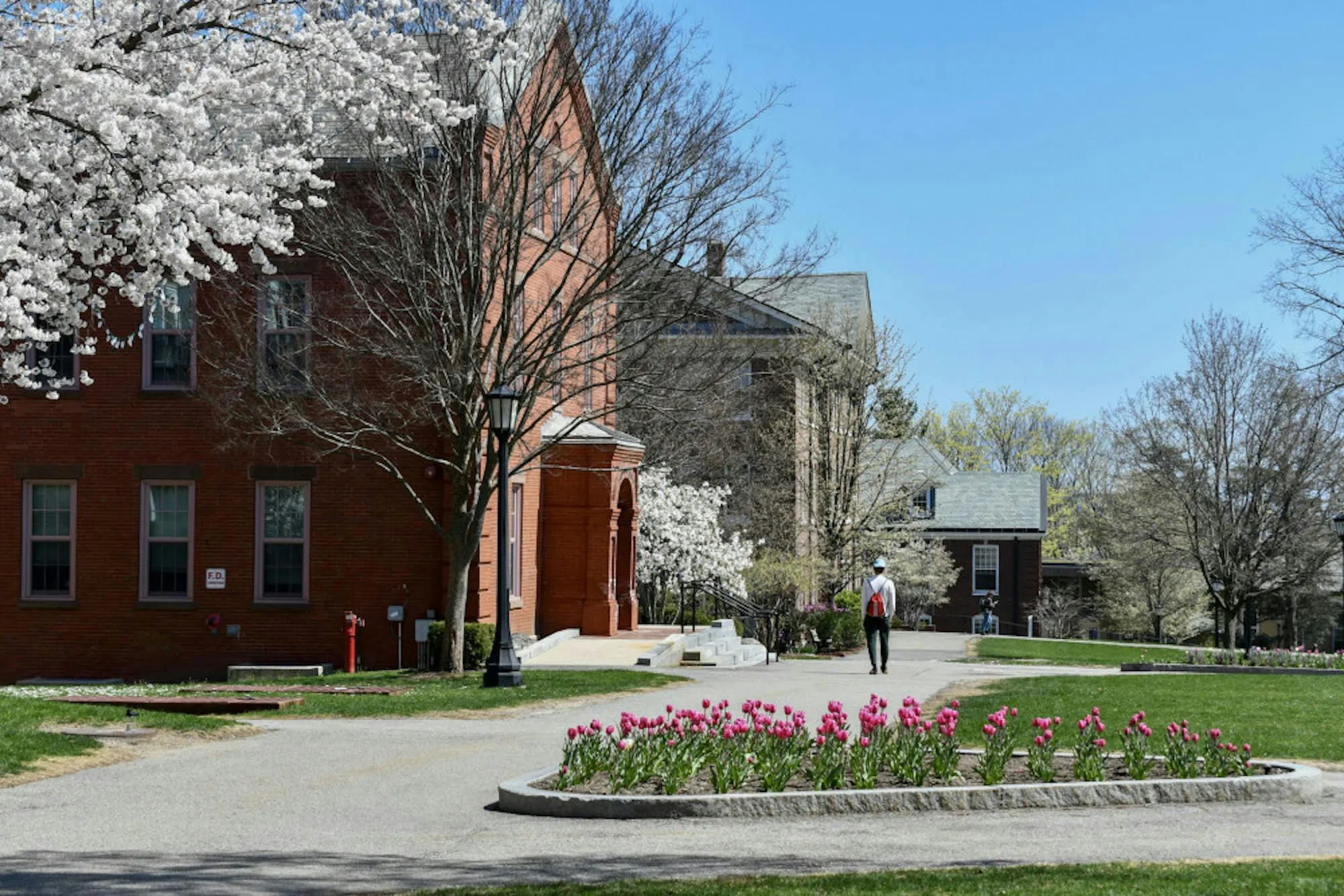 The Academic Quad