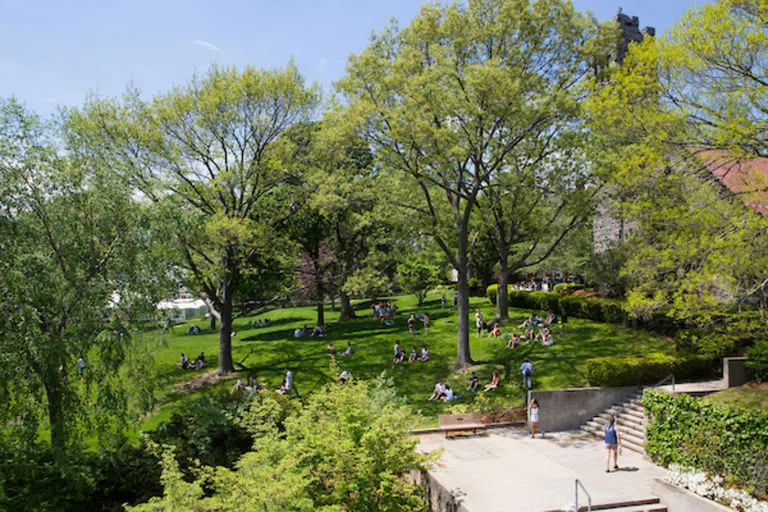 The President's Lawn from Tisch Library Roof