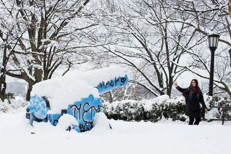 The Tufts Cannon