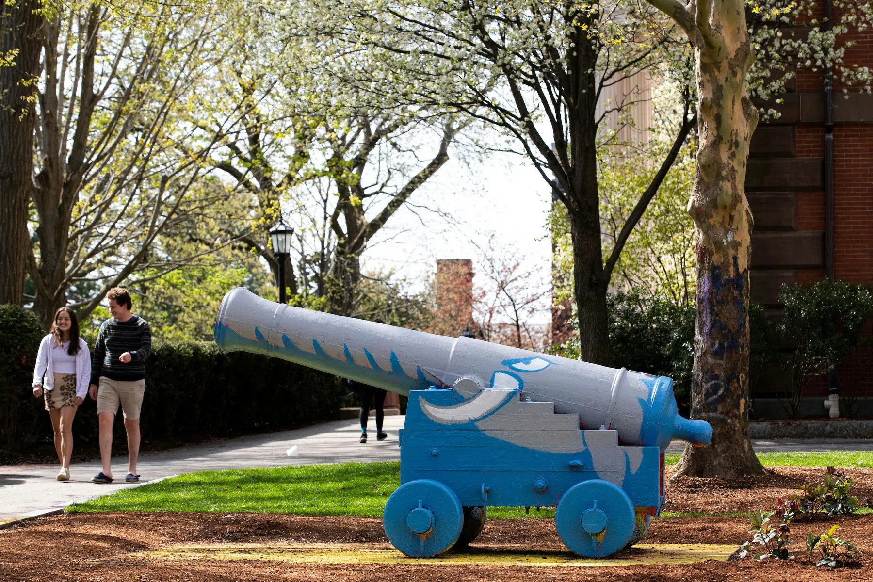 The Tufts Cannon