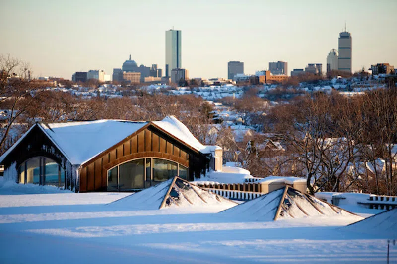 View of Boston's Back Bay neighborhood from the Tisch Library Roof