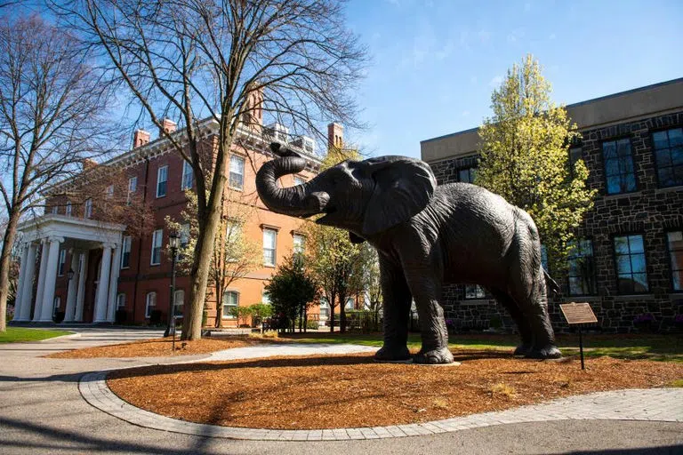 Jumbo the elephant statue on the academic quad 