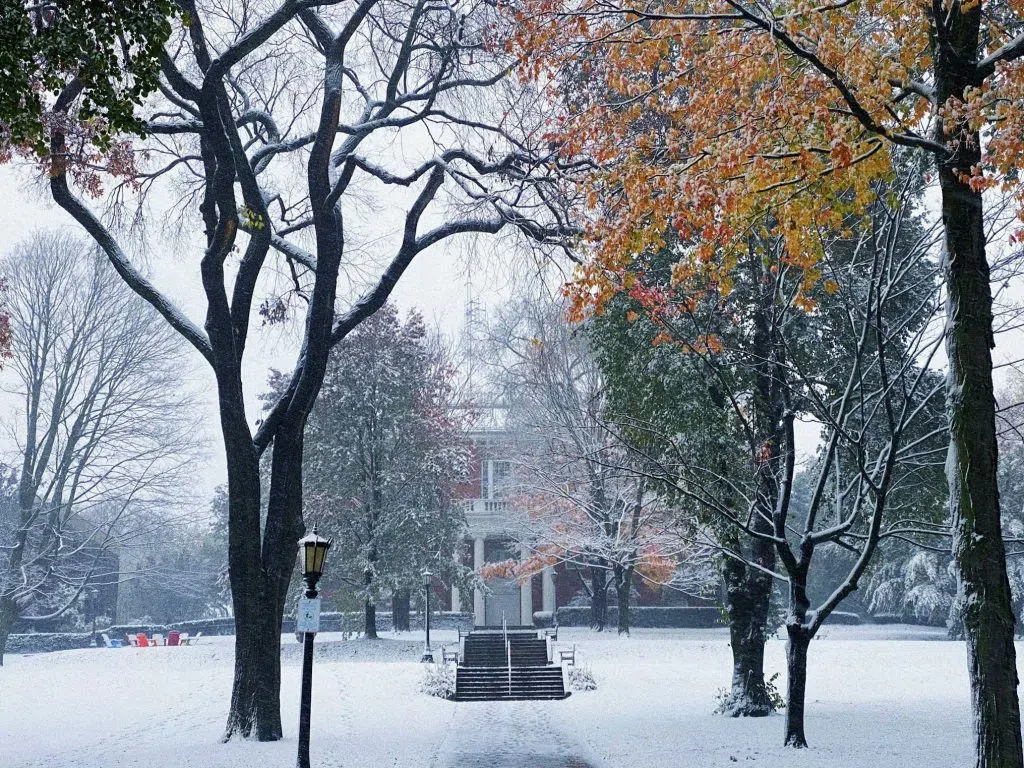  The President's Lawn in Winter