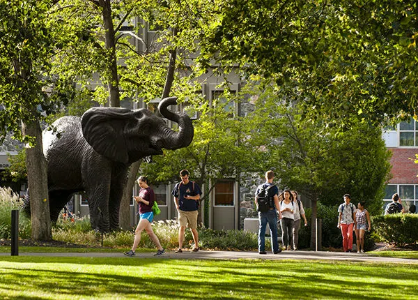 Jumbo the elephant statue on the academic quad 