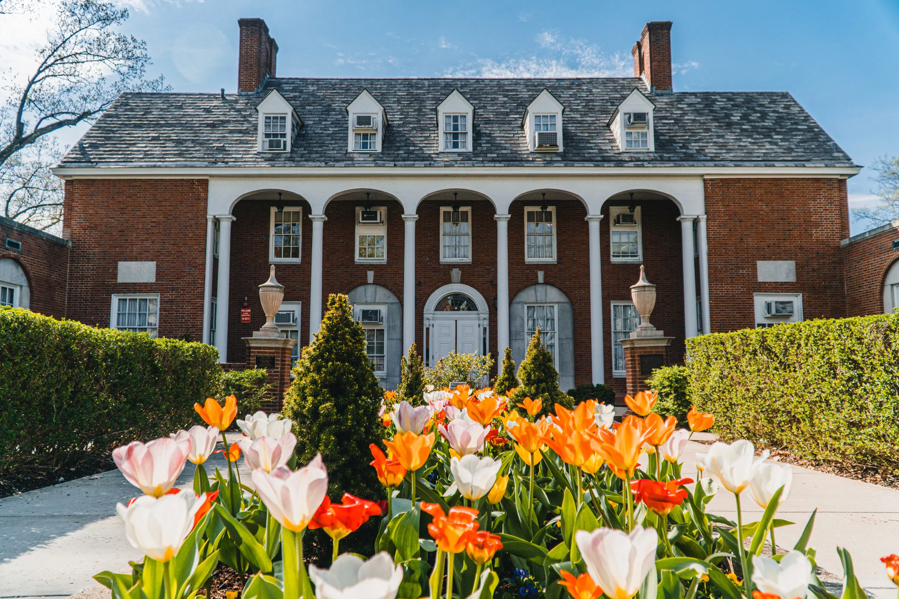 Tulips bloom in front of Elizabeth Moore Hall 