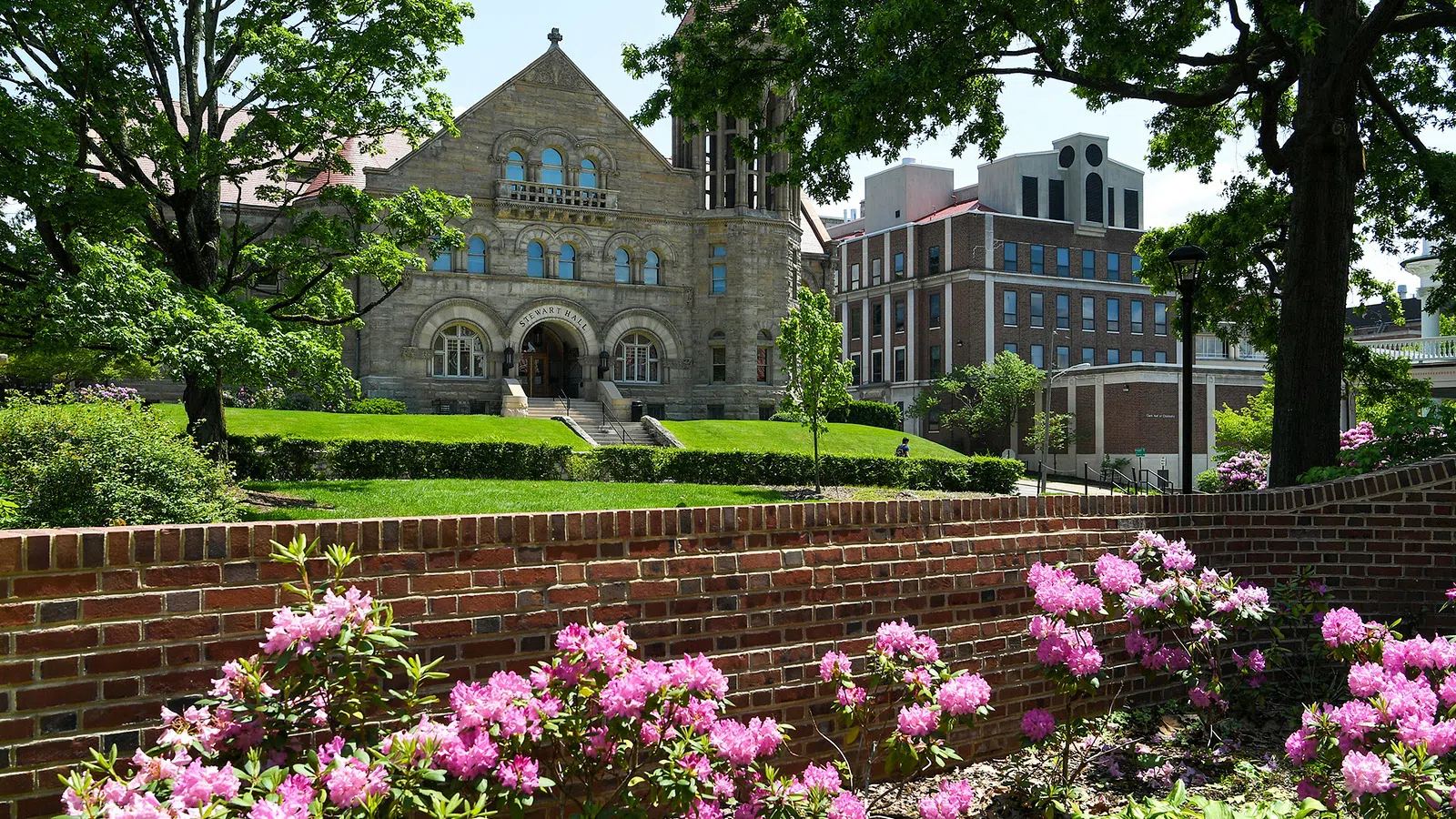 Stewart Hall pictured in the distance behind pink flowers on a sunny spring day.