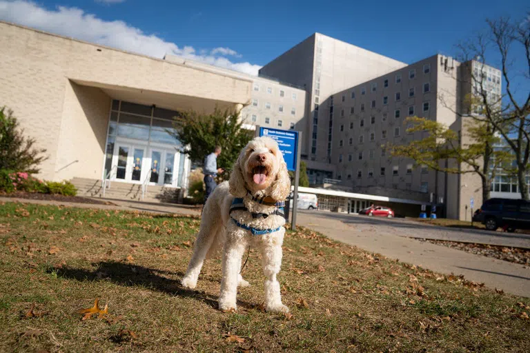 Health Sciences Center