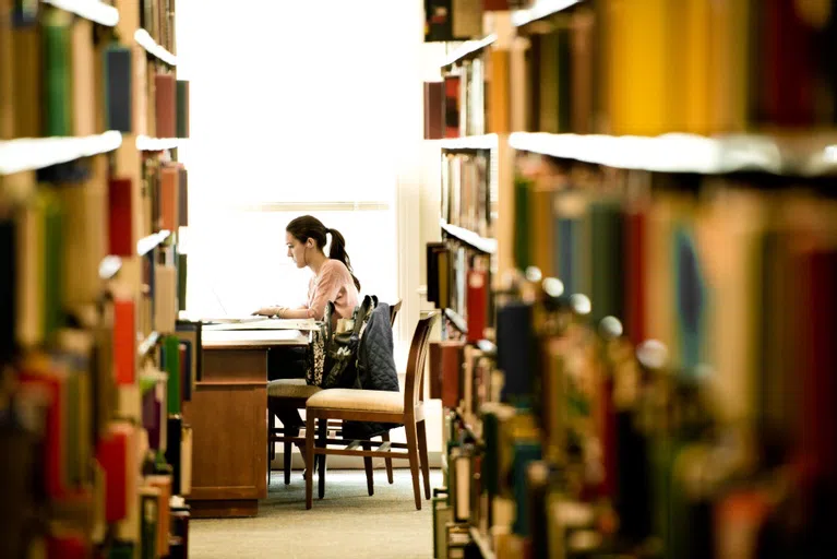 Book Shelves